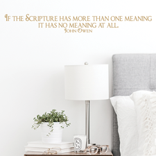 More Than One Meaning Vinyl Wall Statement