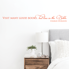 Visit Many Good Books Vinyl Wall Statement