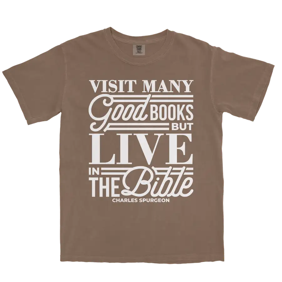 Live In The Bible Comfort Colors Heavyweight Tee