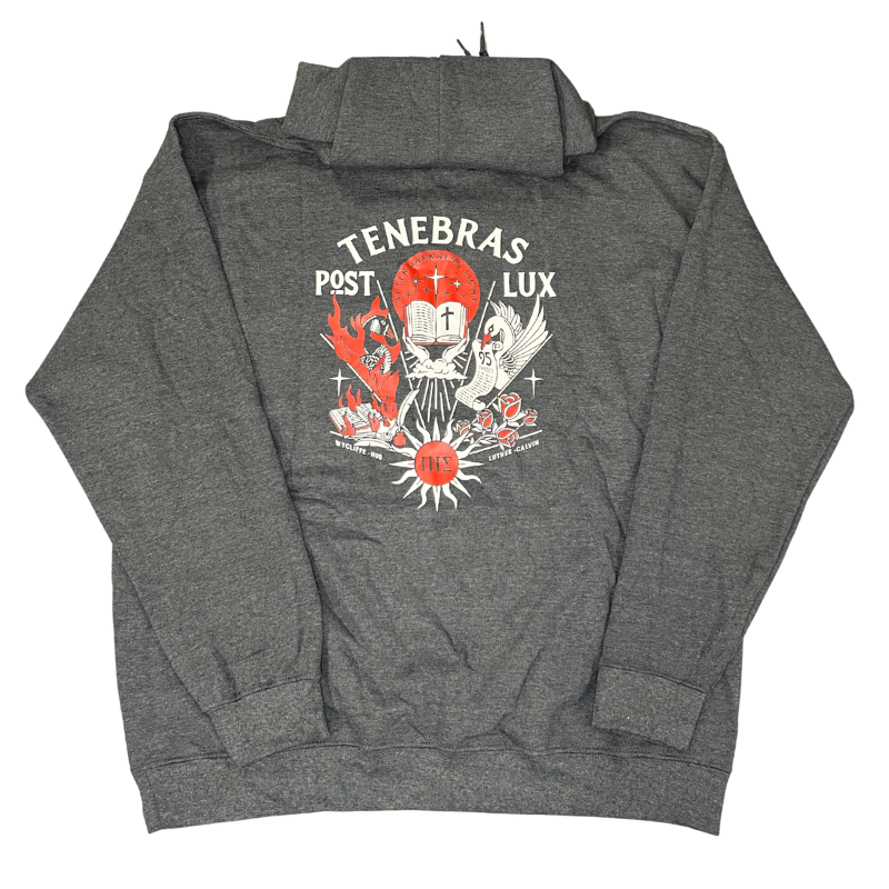 Clearance: L, Dark Heather, (Back Print Only) After Darkness Hoodie