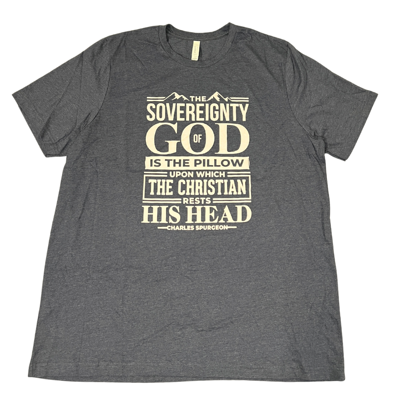 Imperfection: 2XL, Heather Midnight Navy, Sovereignty Of God Tee
