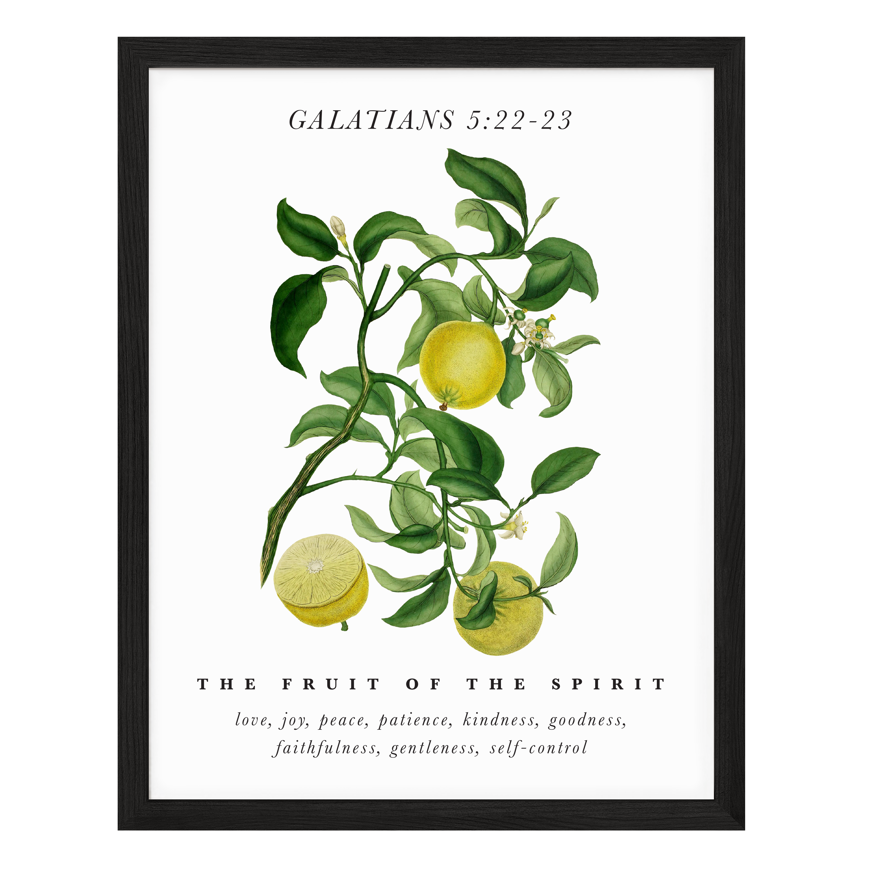 Fruit Of The Spirit Art Print