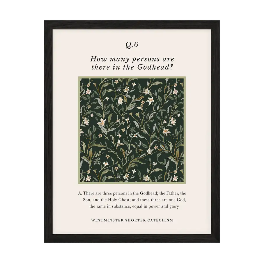 Westminster Shorter Catechism Q6 Art Print