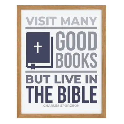 Live In The Bible Poster Print